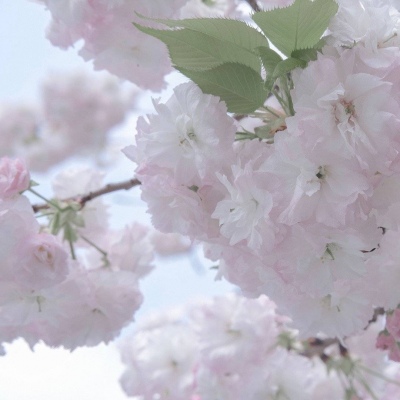 中牟FurryQQ群介绍